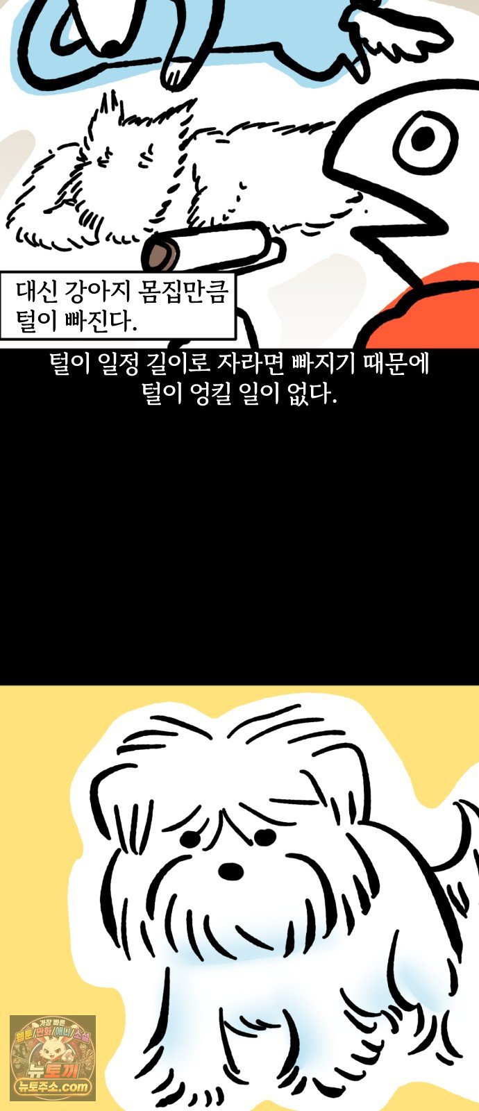 007.jpg