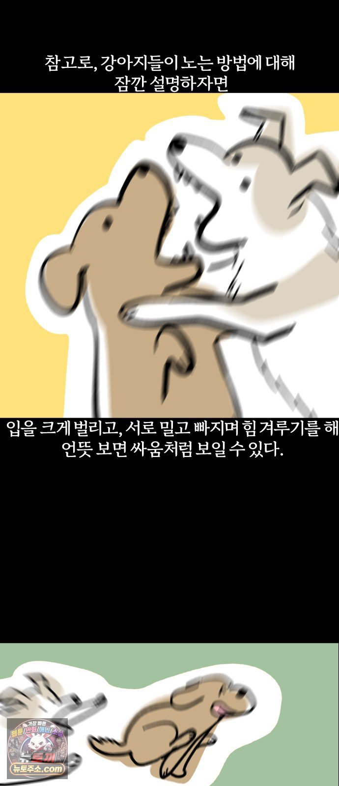 011.jpg