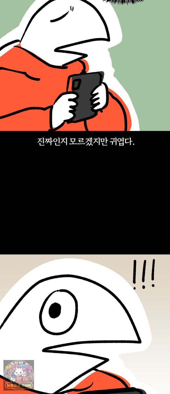 010.jpg