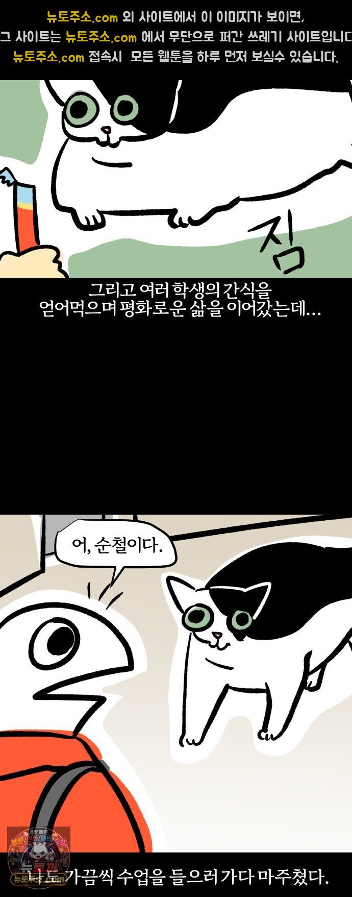 010.jpg