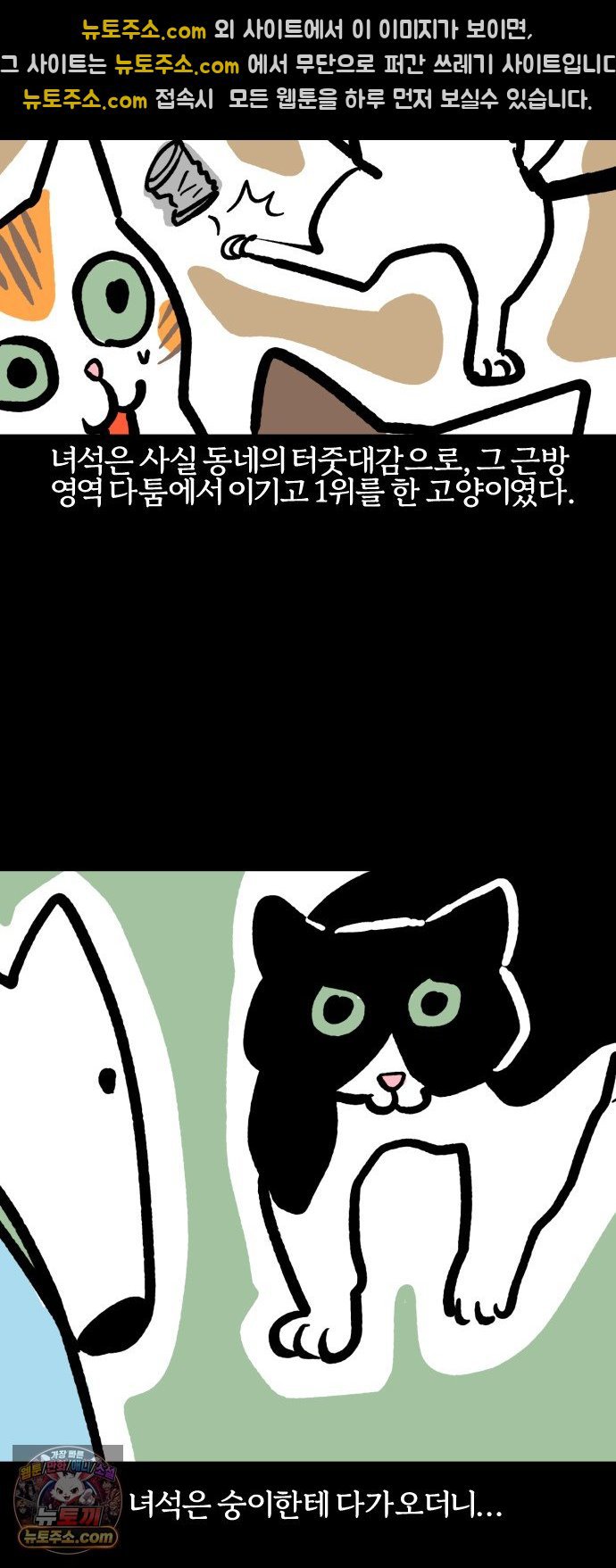 010.jpg