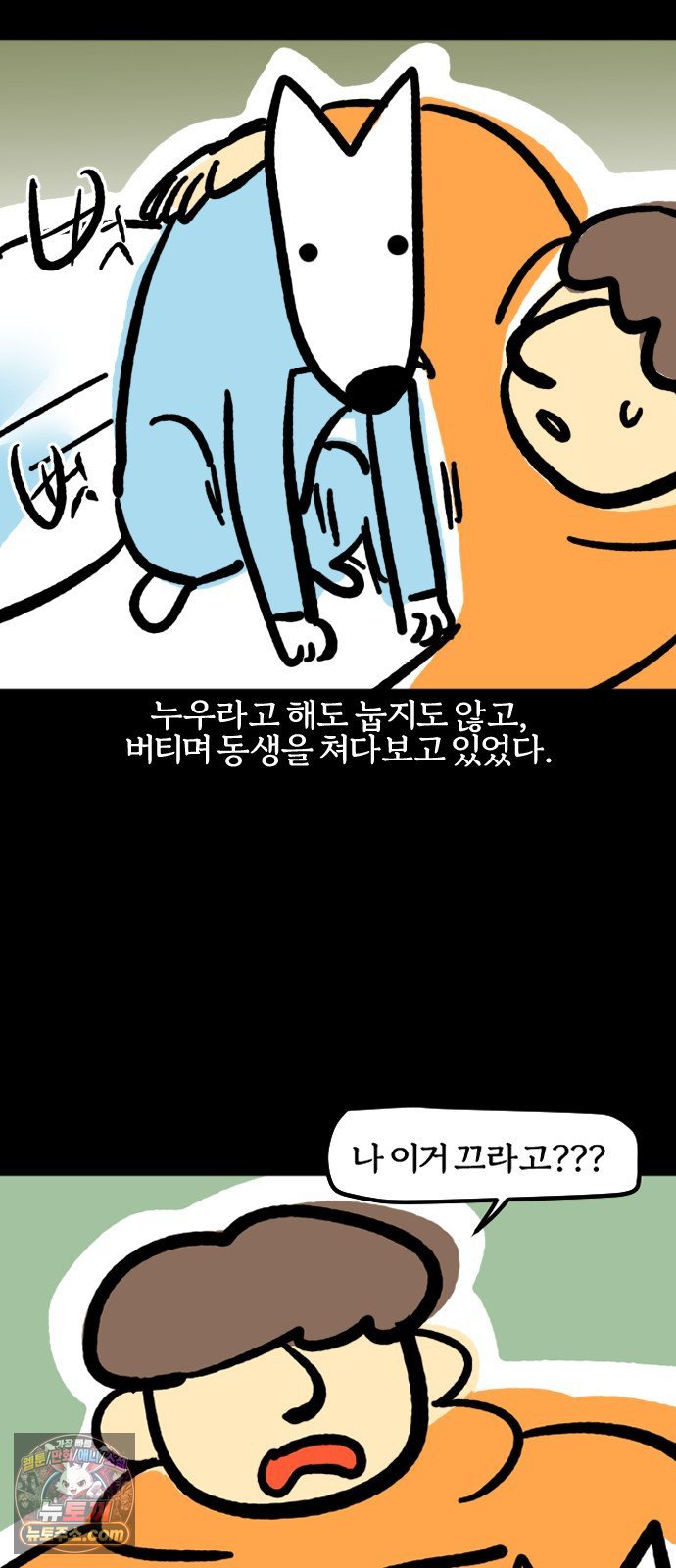 009.jpg