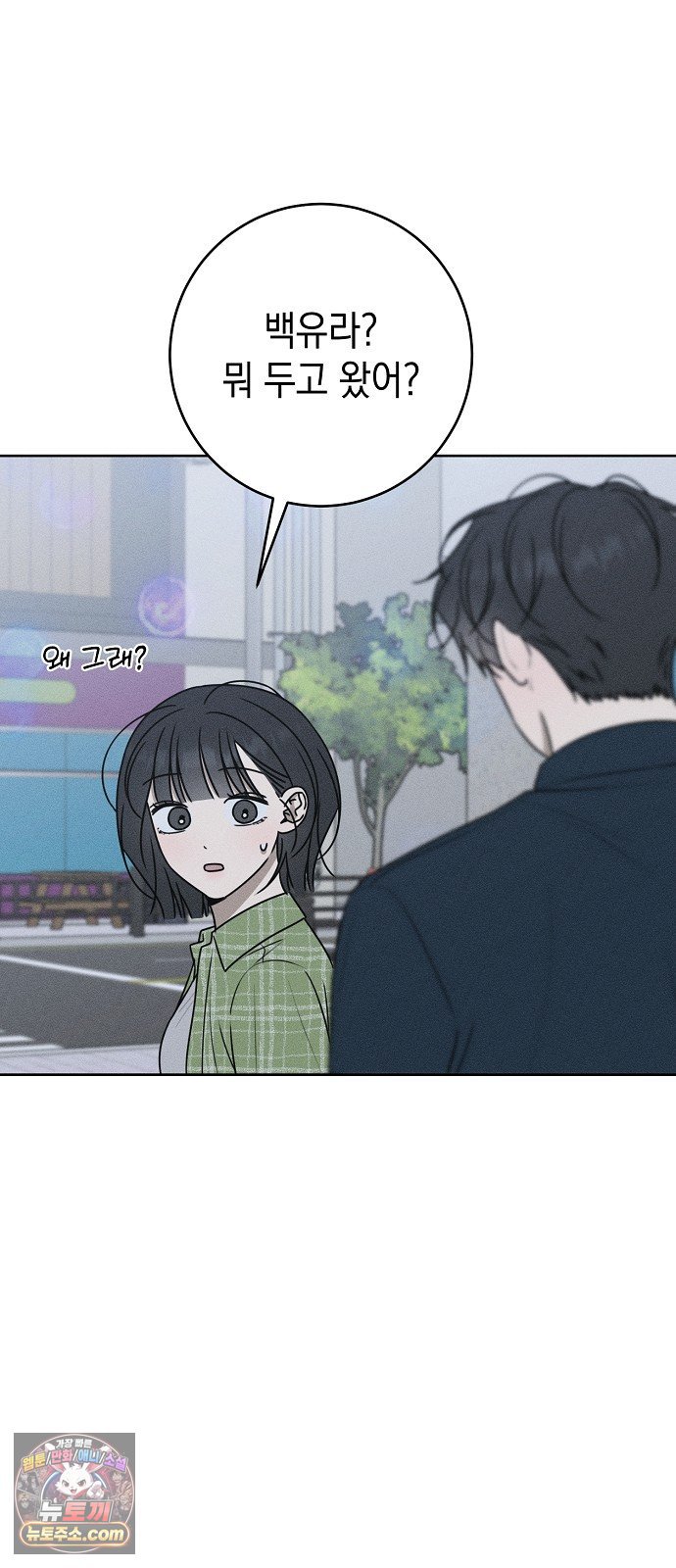 006.jpg