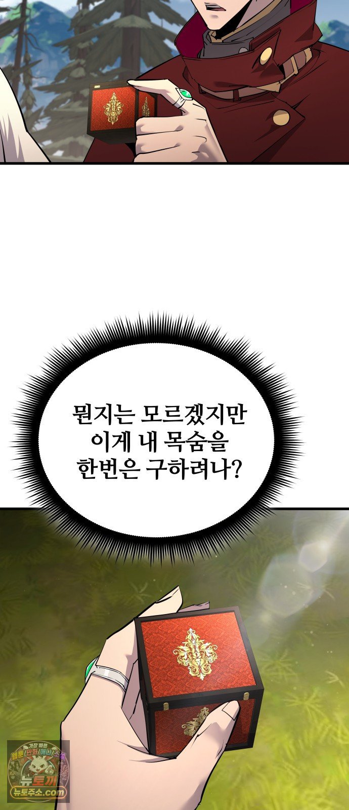 113.jpg