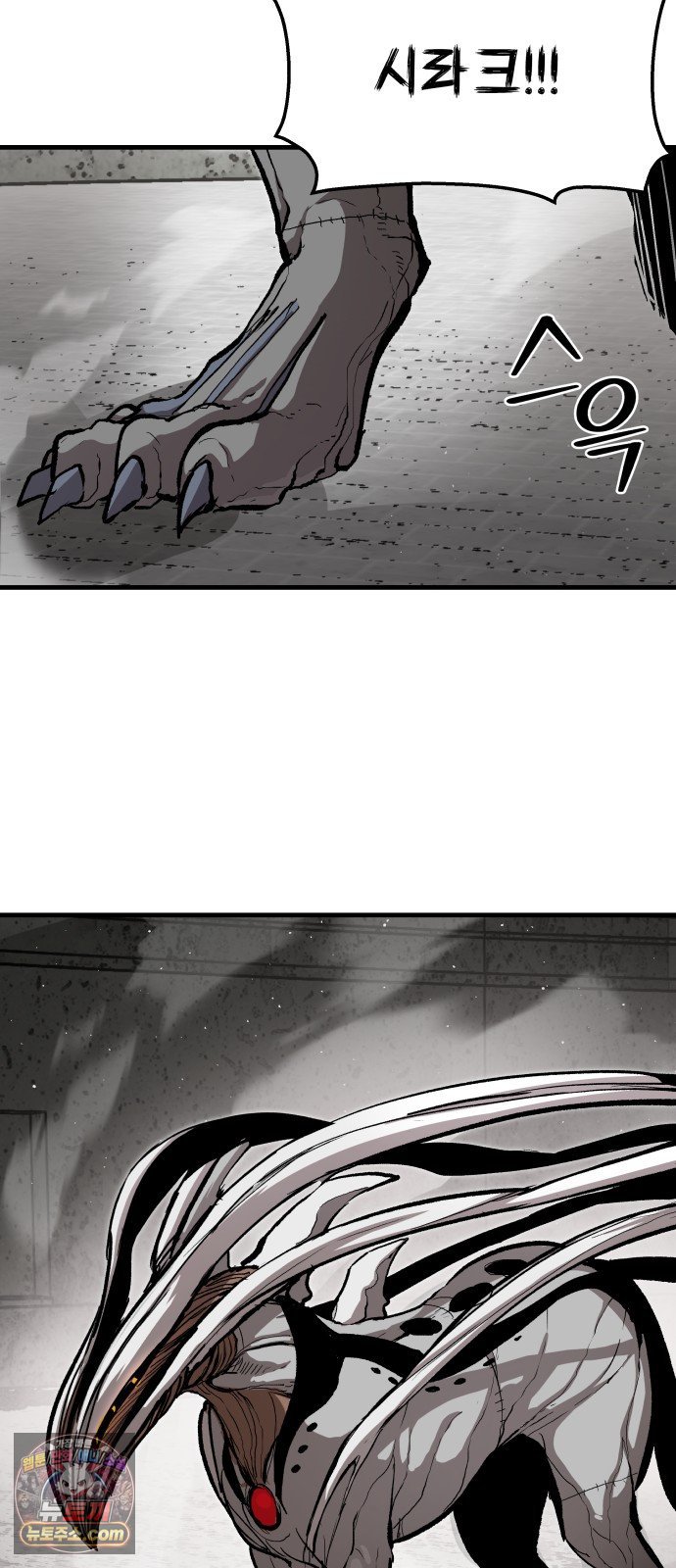 045.jpg