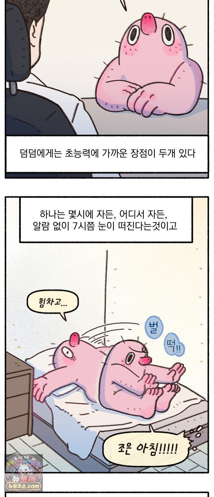 003.jpg