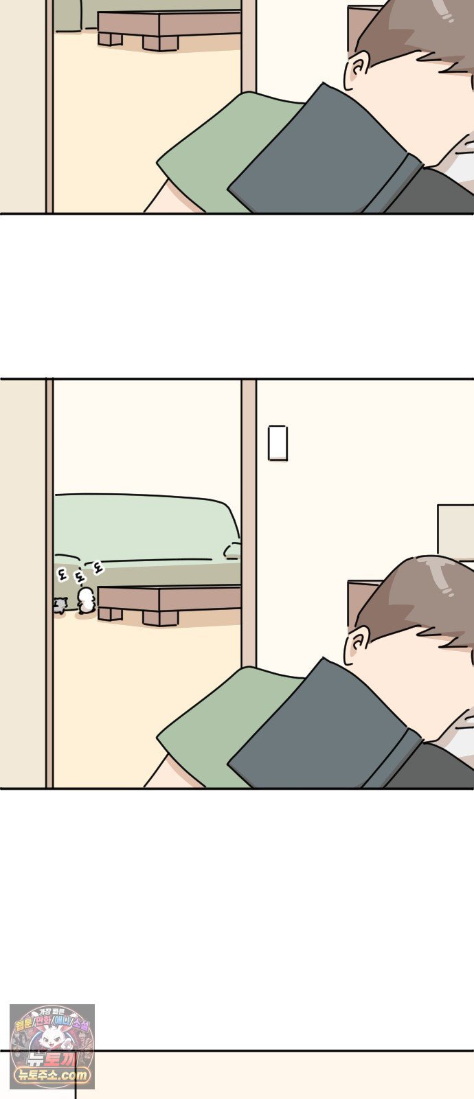 005.jpg