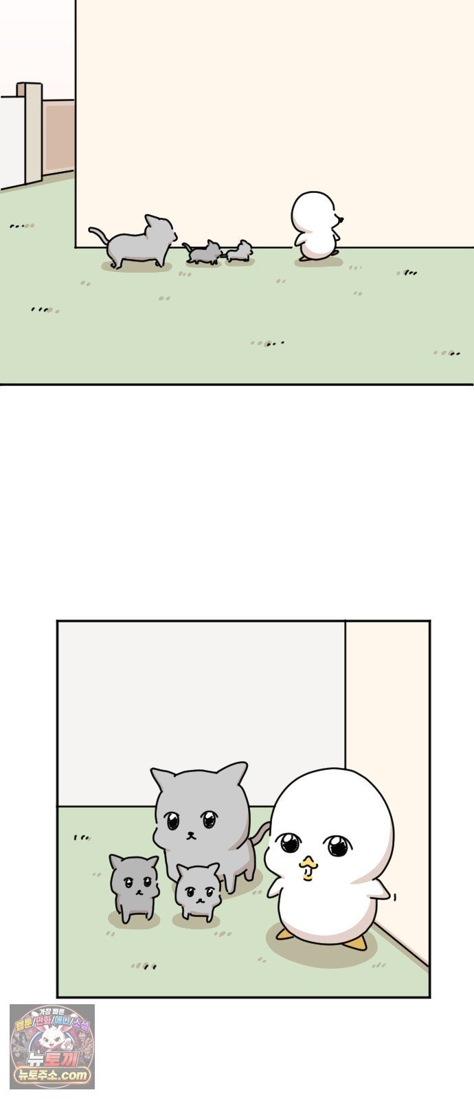 006.jpg