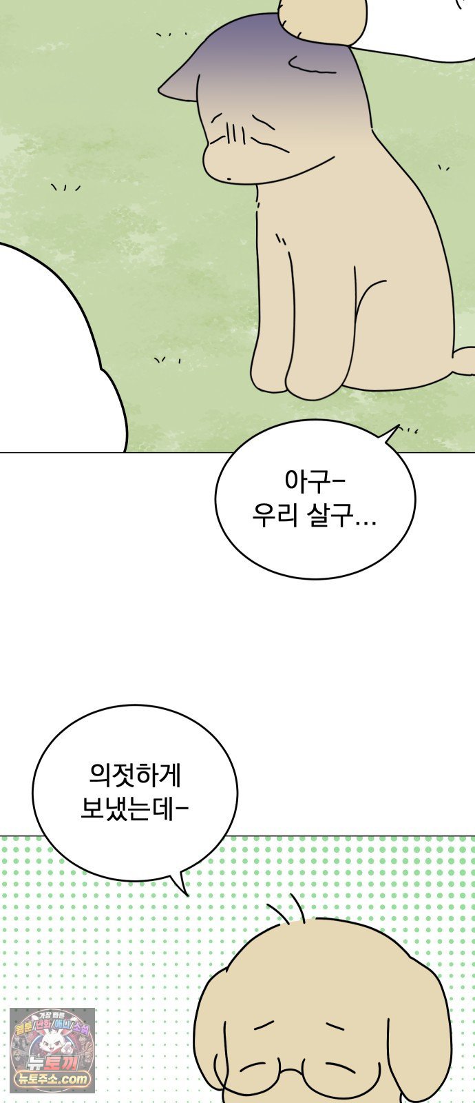 011.jpg