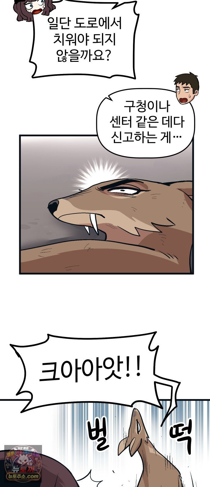 008.jpg
