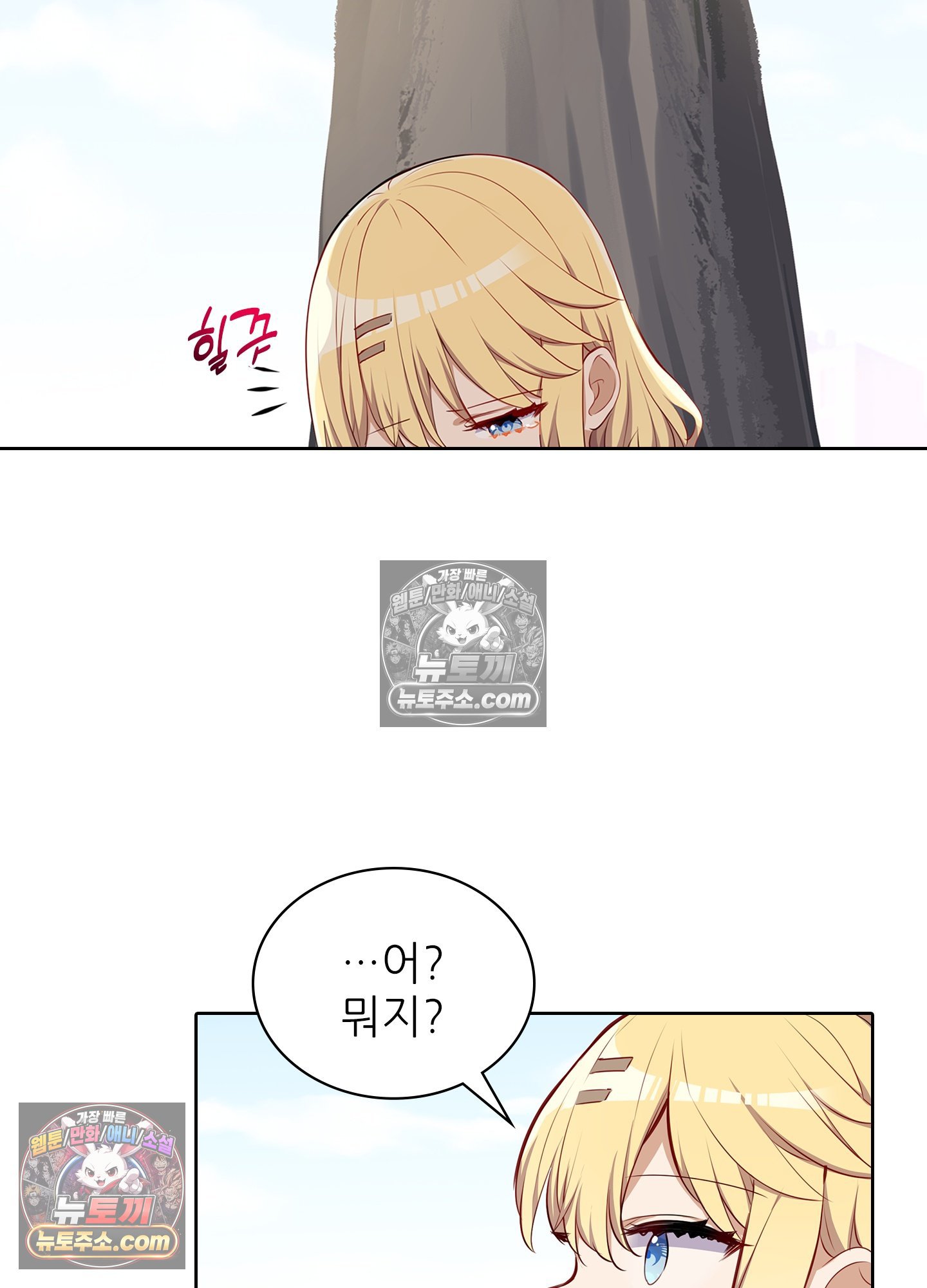 003.jpg