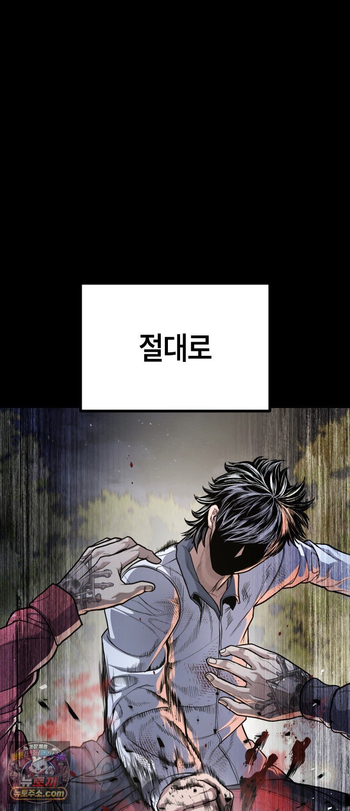 113.jpg