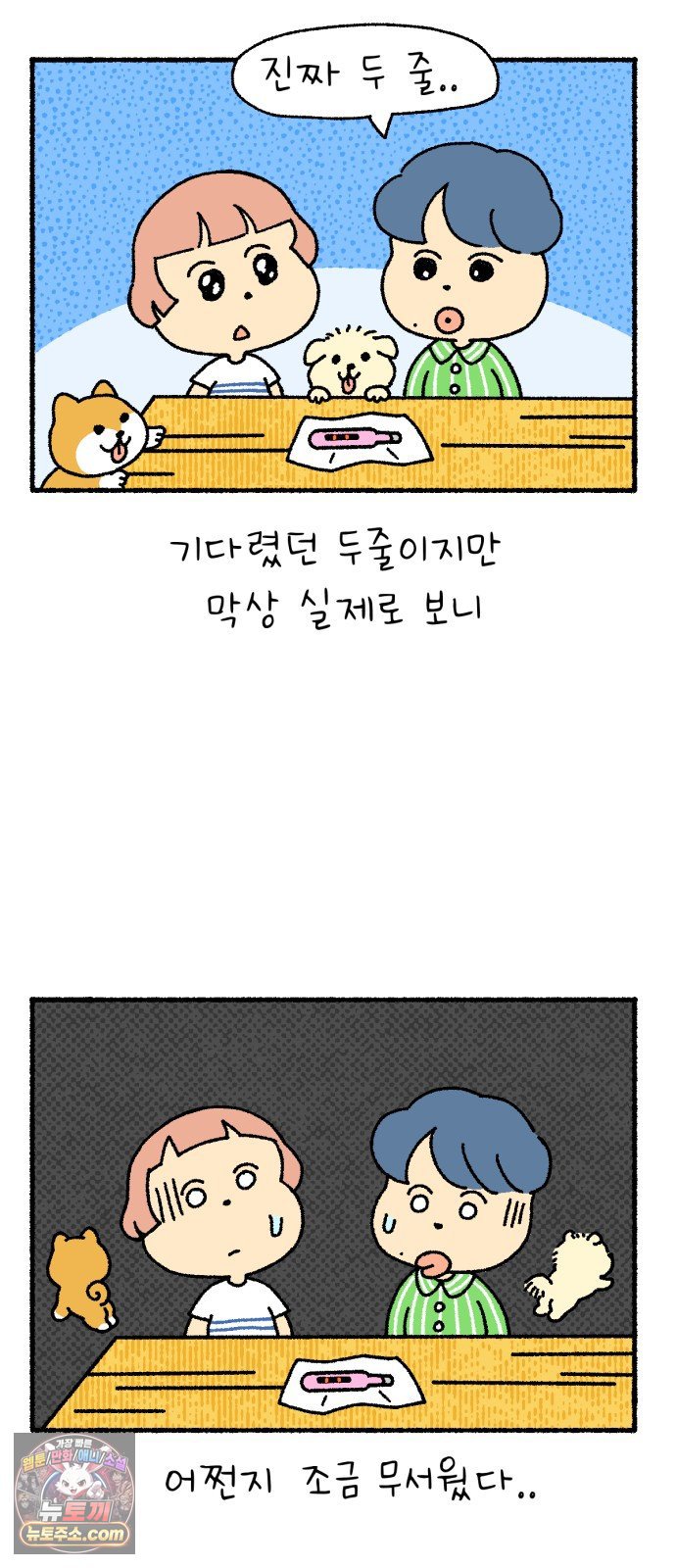 003.jpg