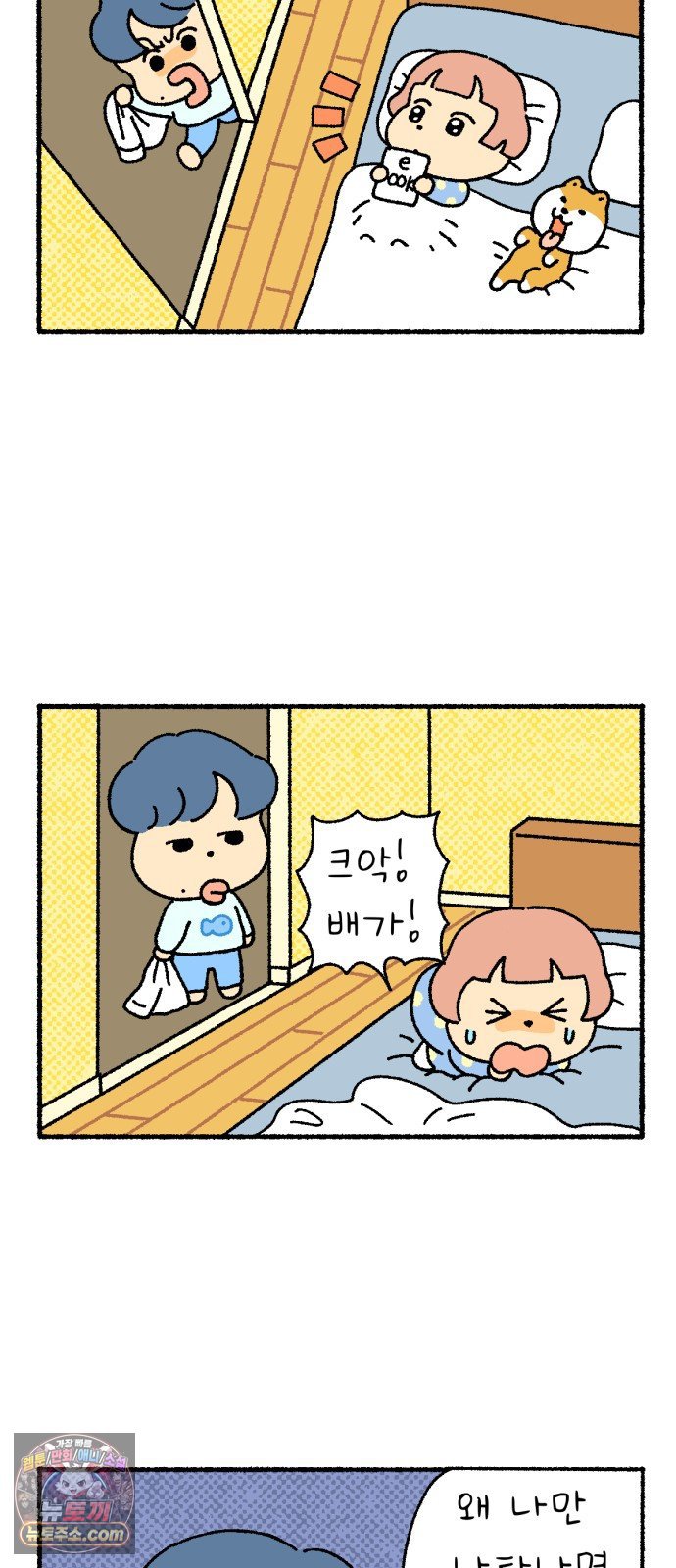 005.jpg