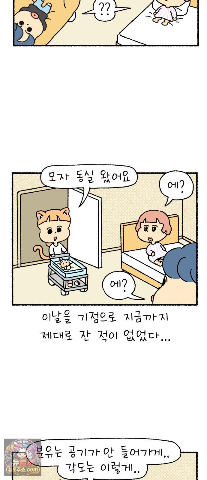 009.jpg