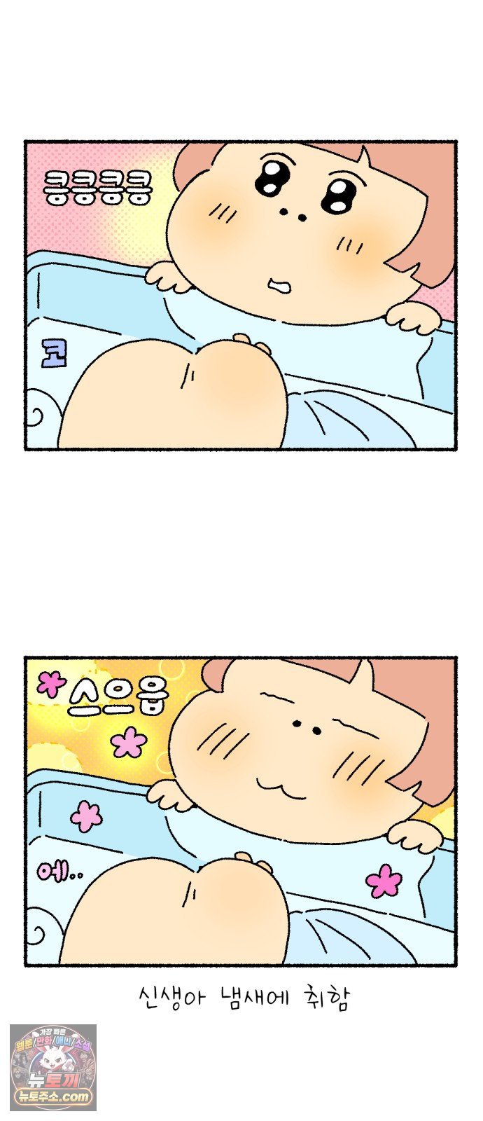 010.jpg