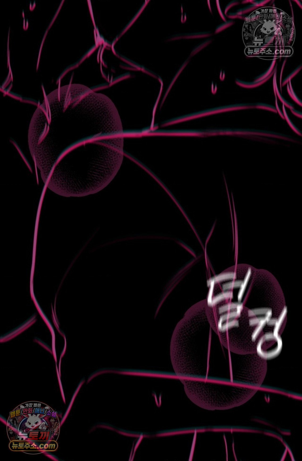 009.jpg