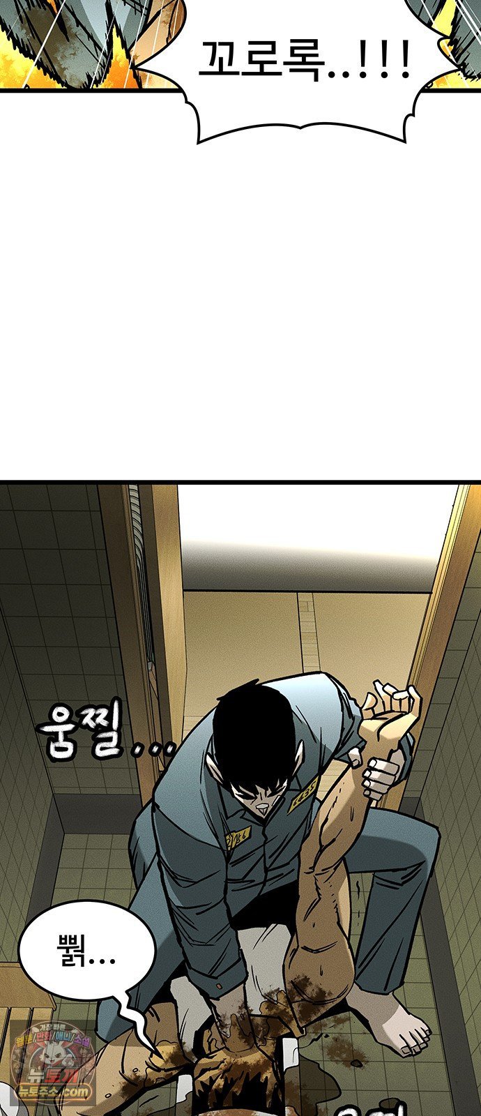 005.jpg