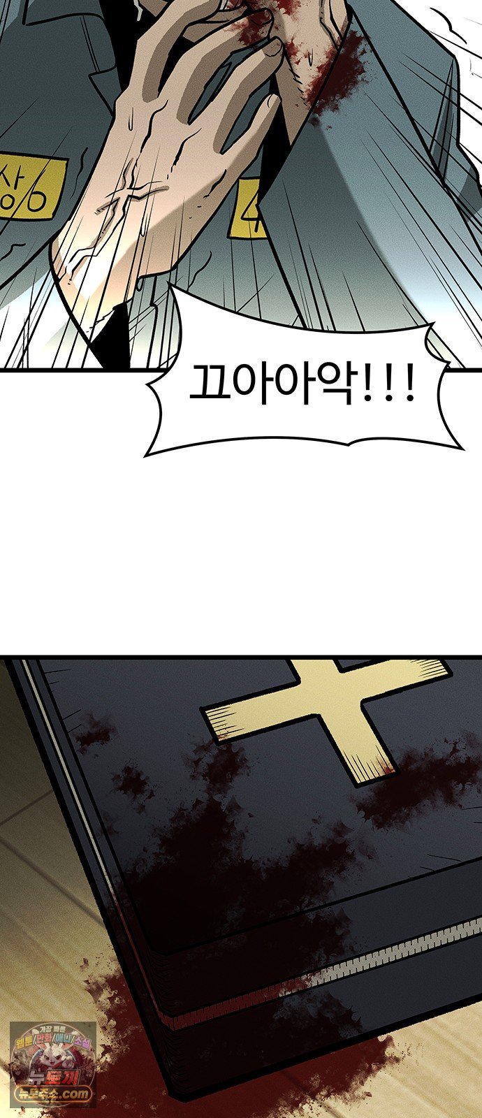 009.jpg