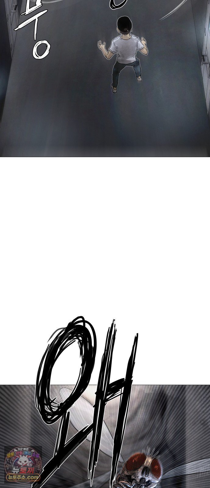 113.jpg