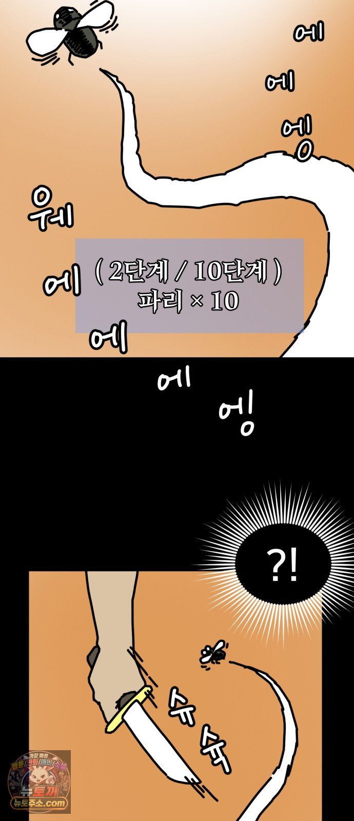 009.jpg