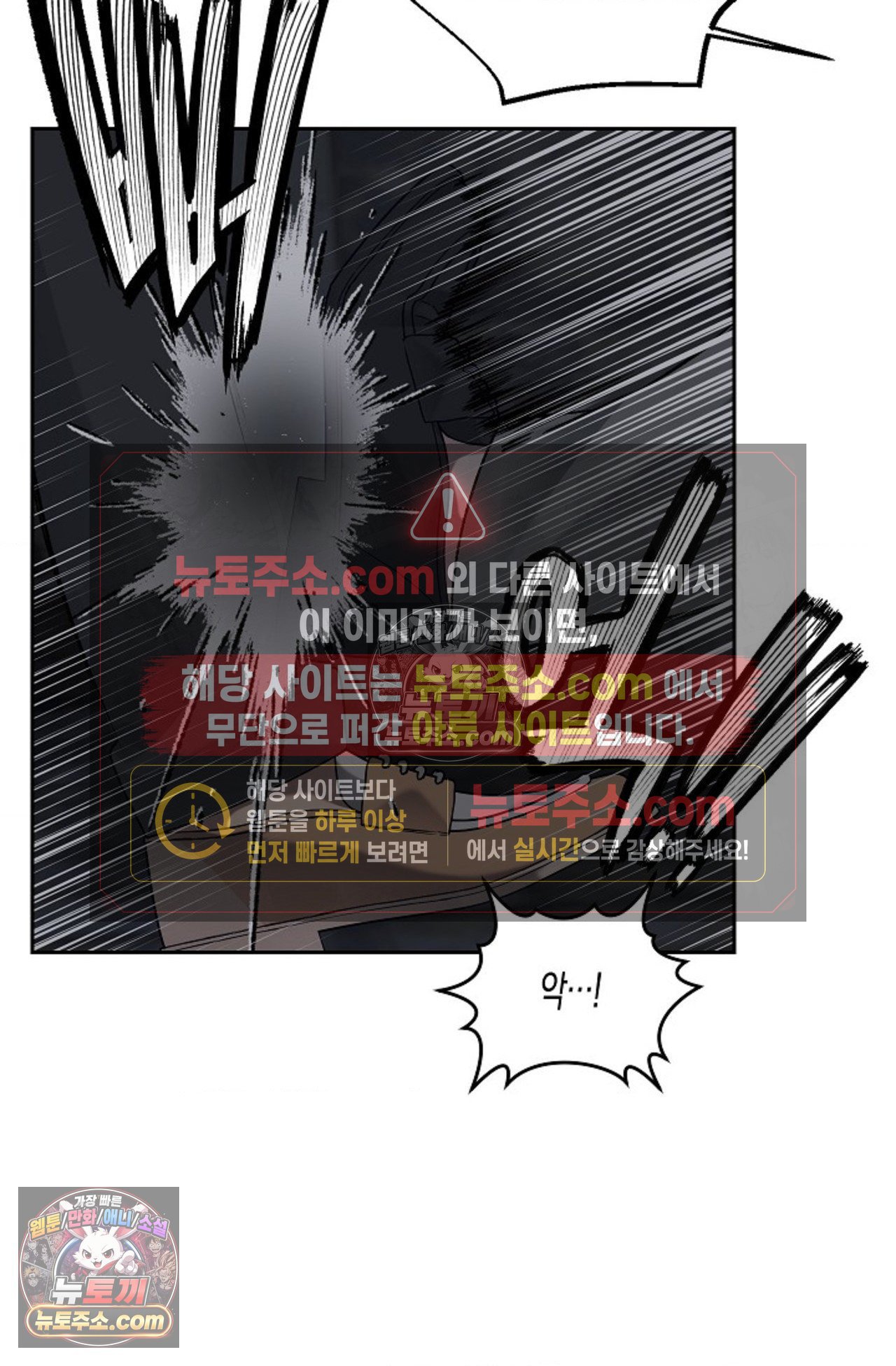 010.jpg