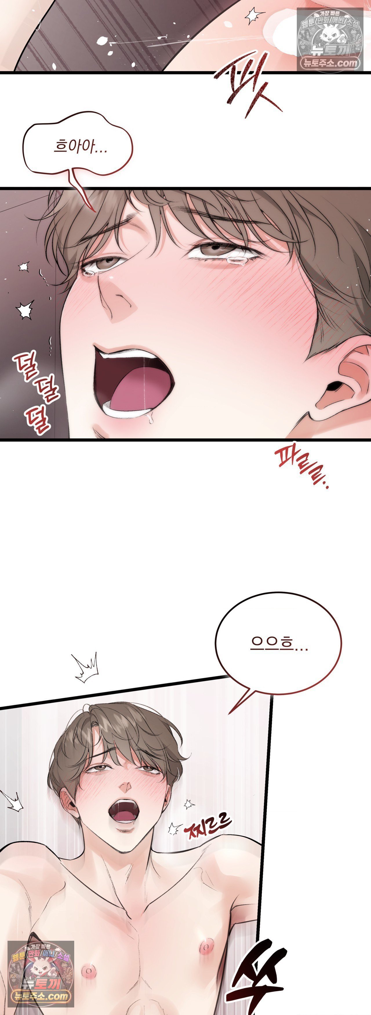 006.jpg