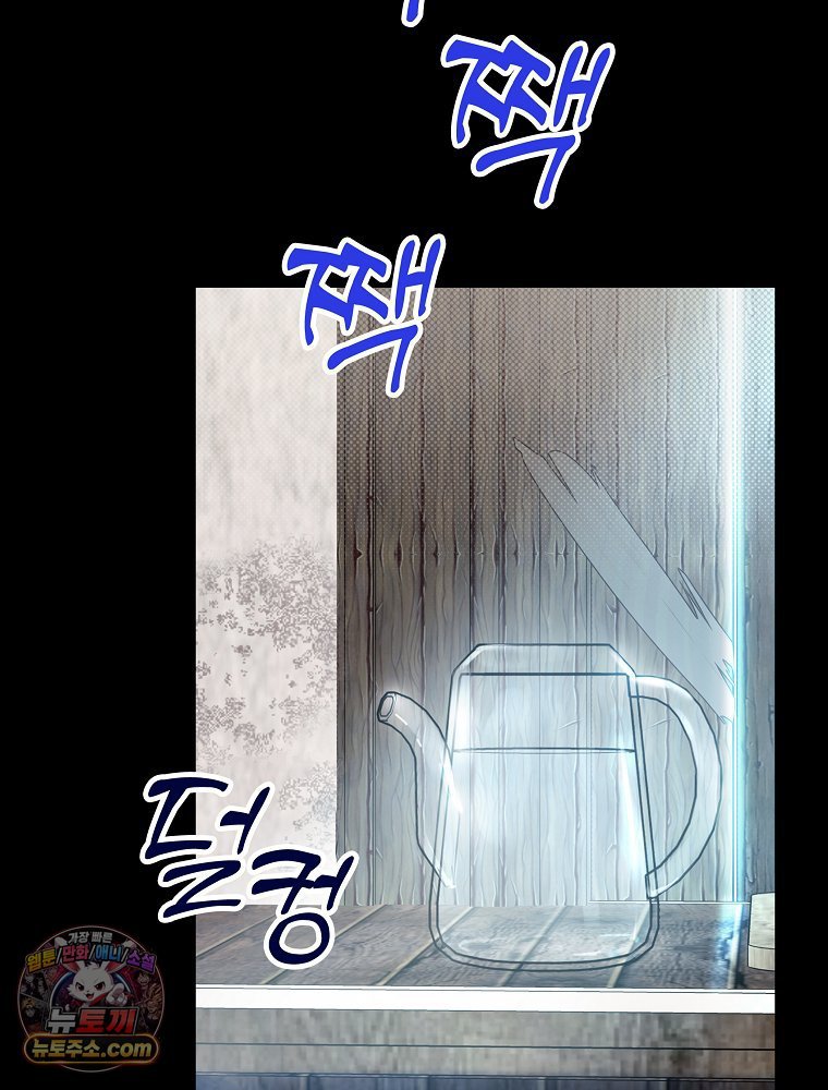 113.jpg
