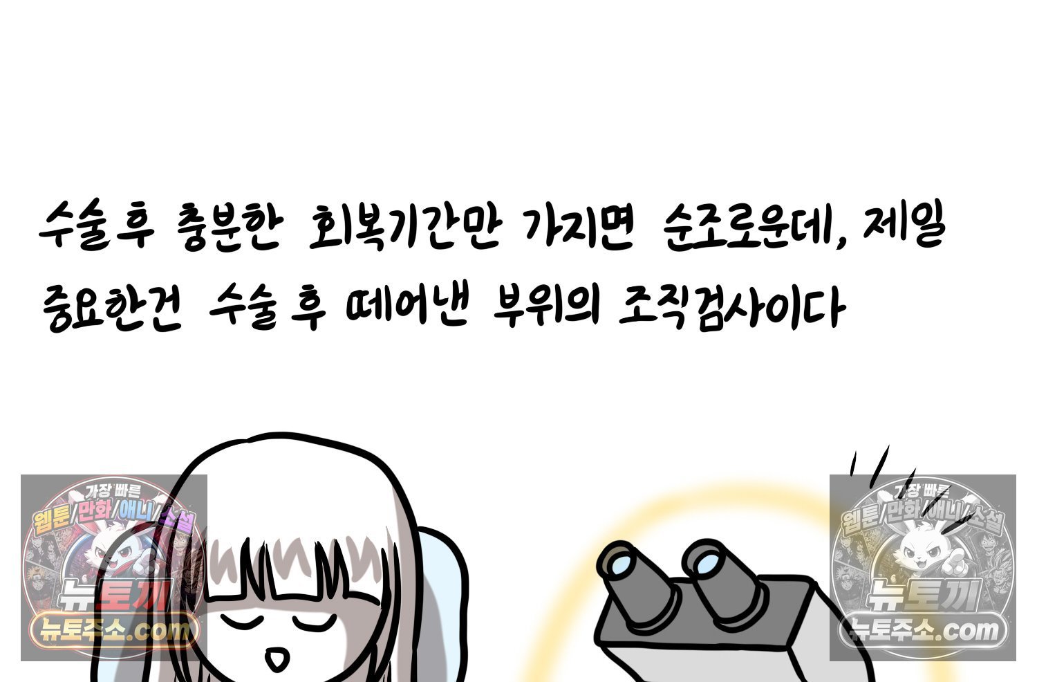 060.jpg