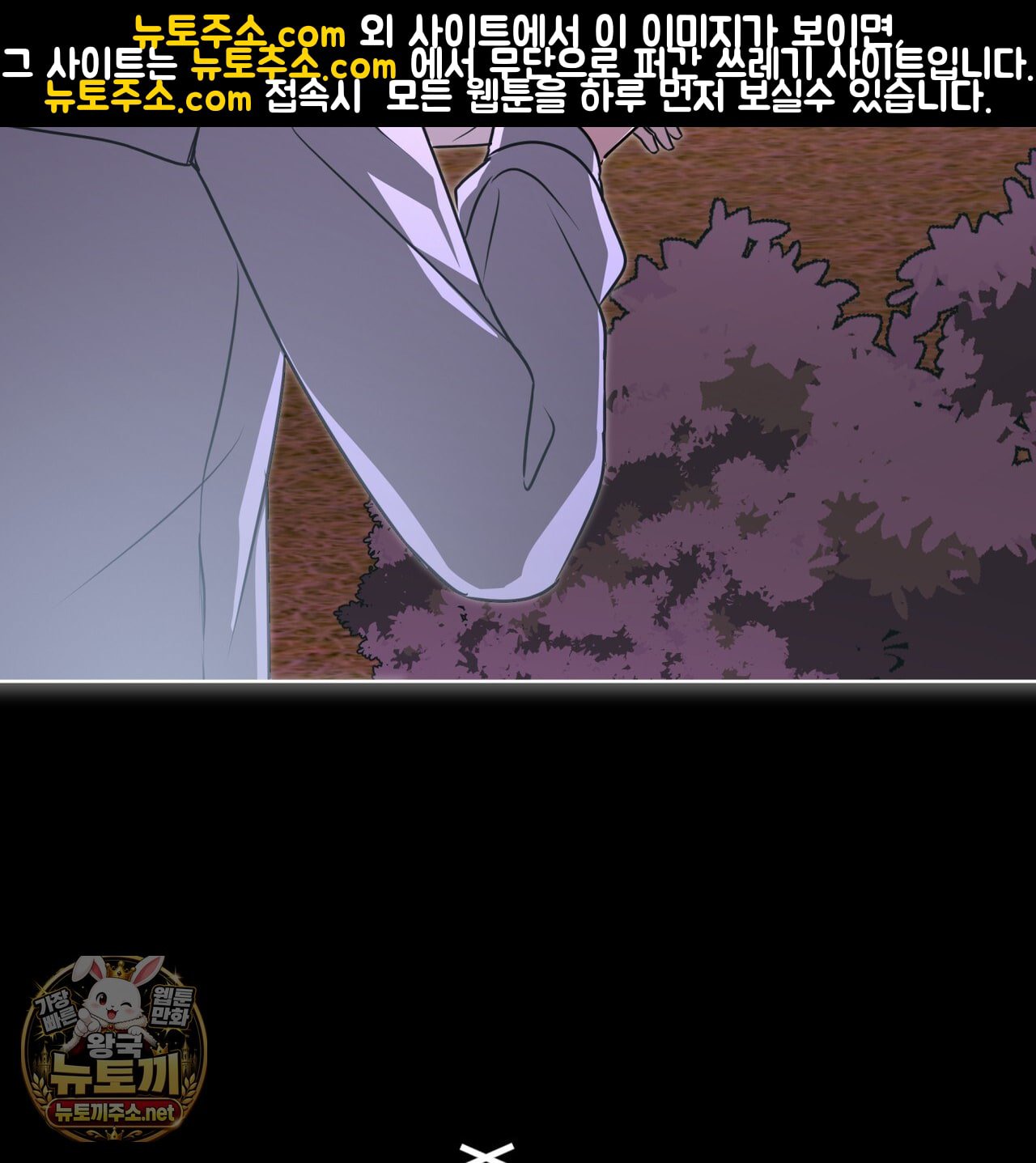 005.jpg
