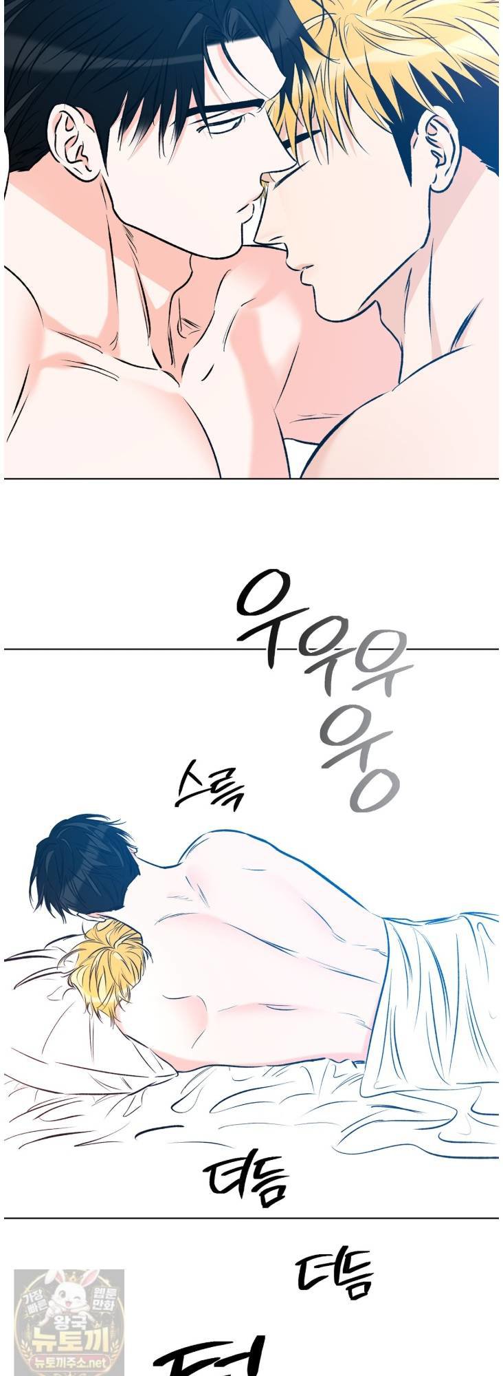 003.jpg