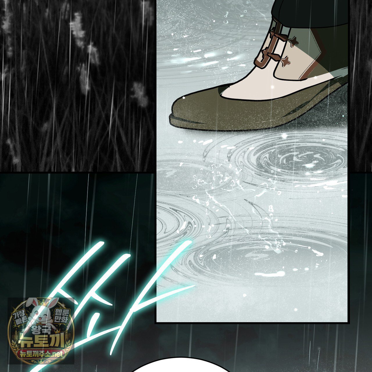 003.jpg