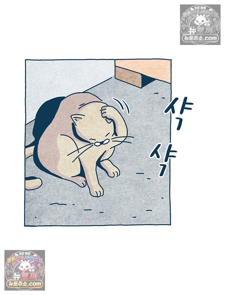 009.jpg