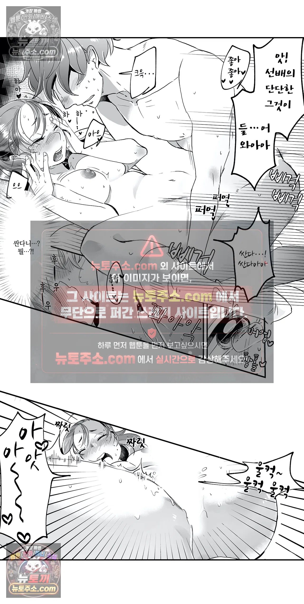 010.jpg