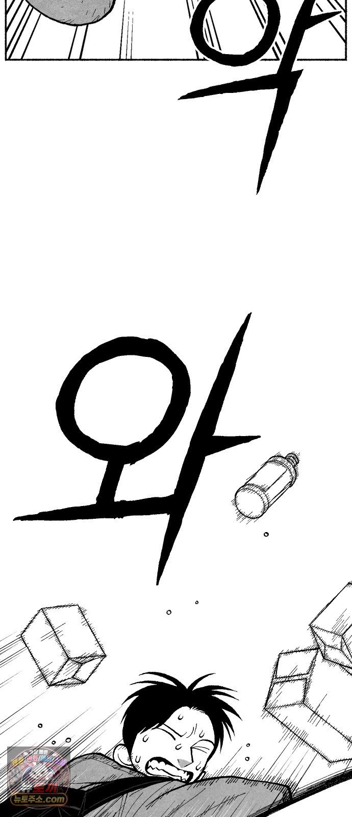 113.jpg
