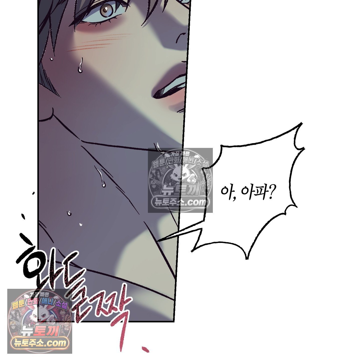 035.jpg