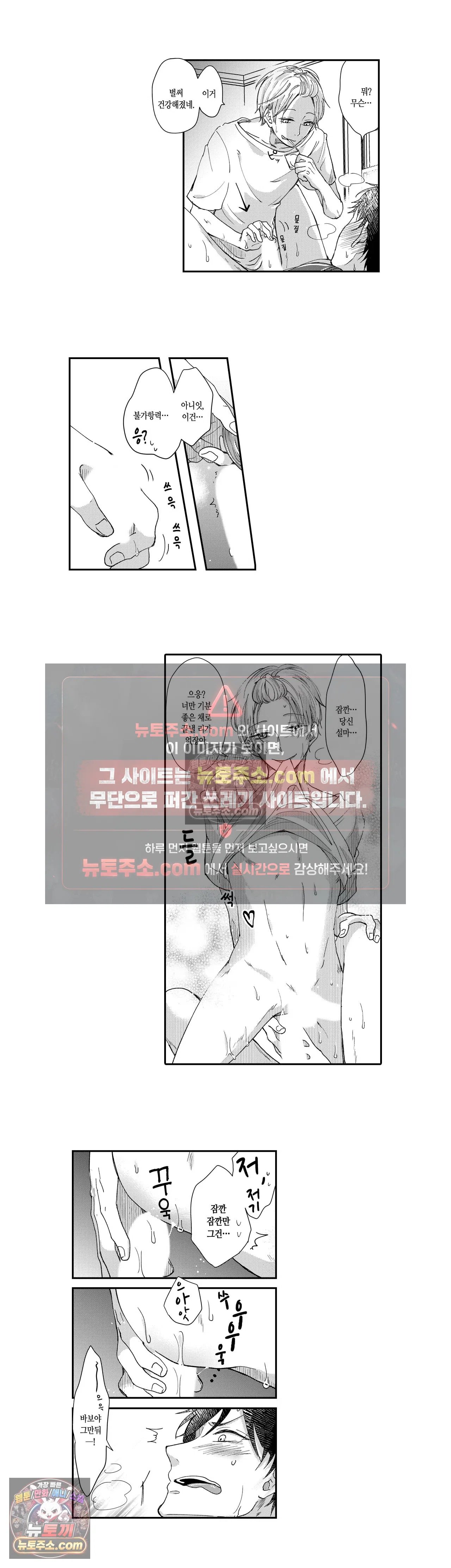 005.jpg