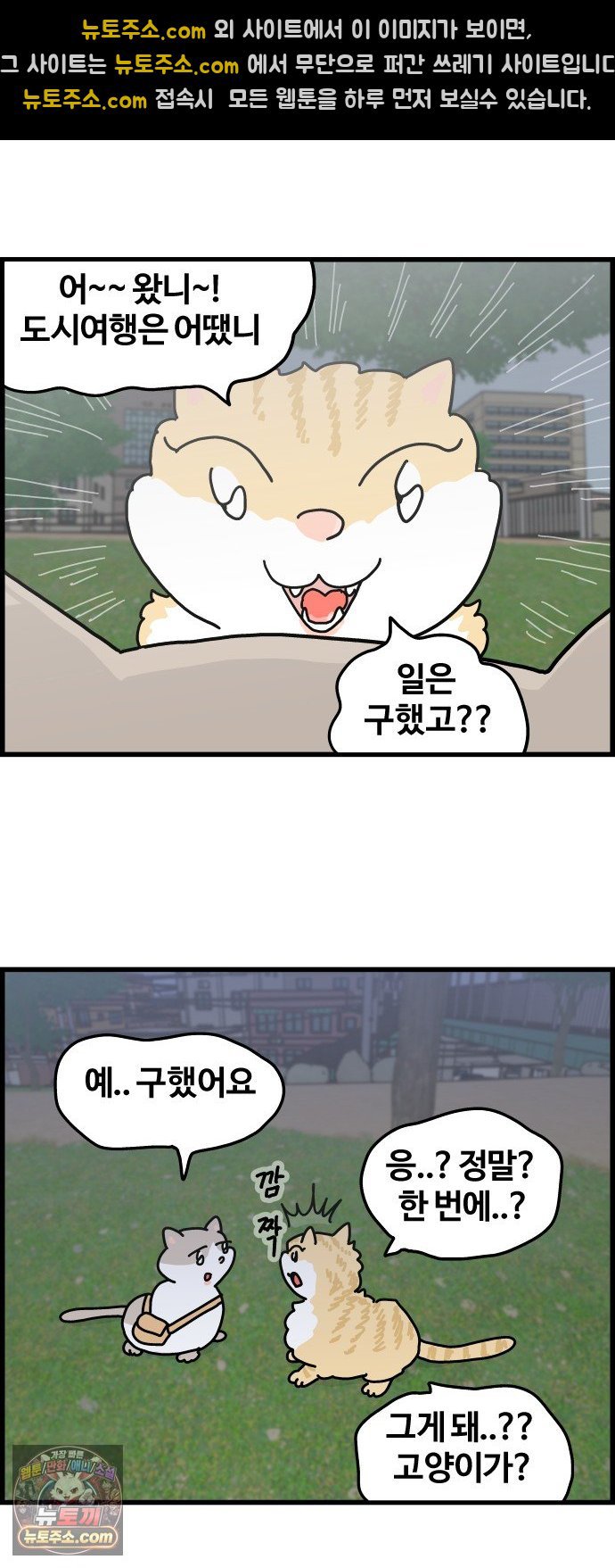 011.jpg