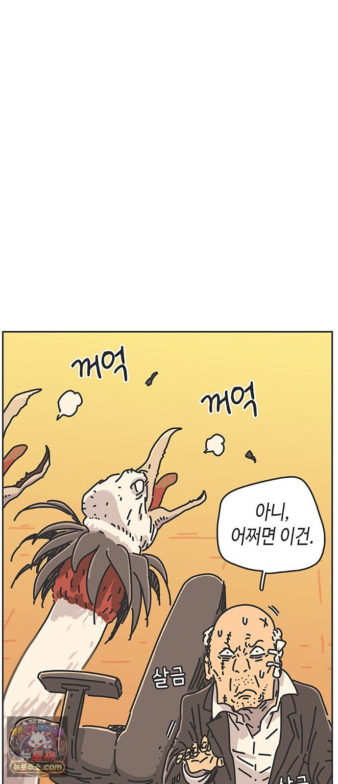 006.jpg