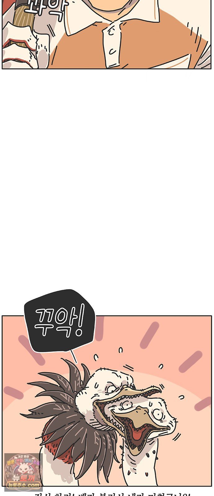 013.jpg