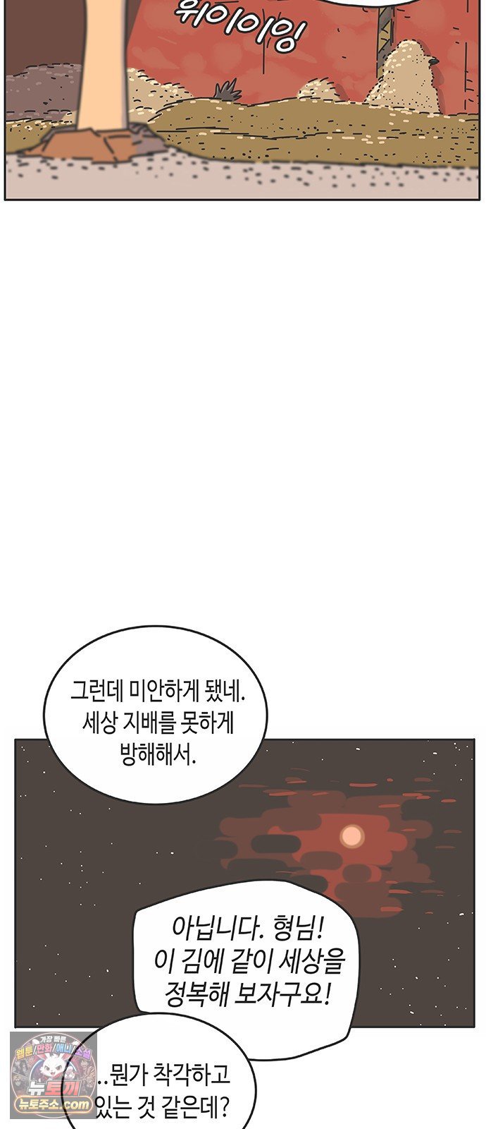 113.jpg