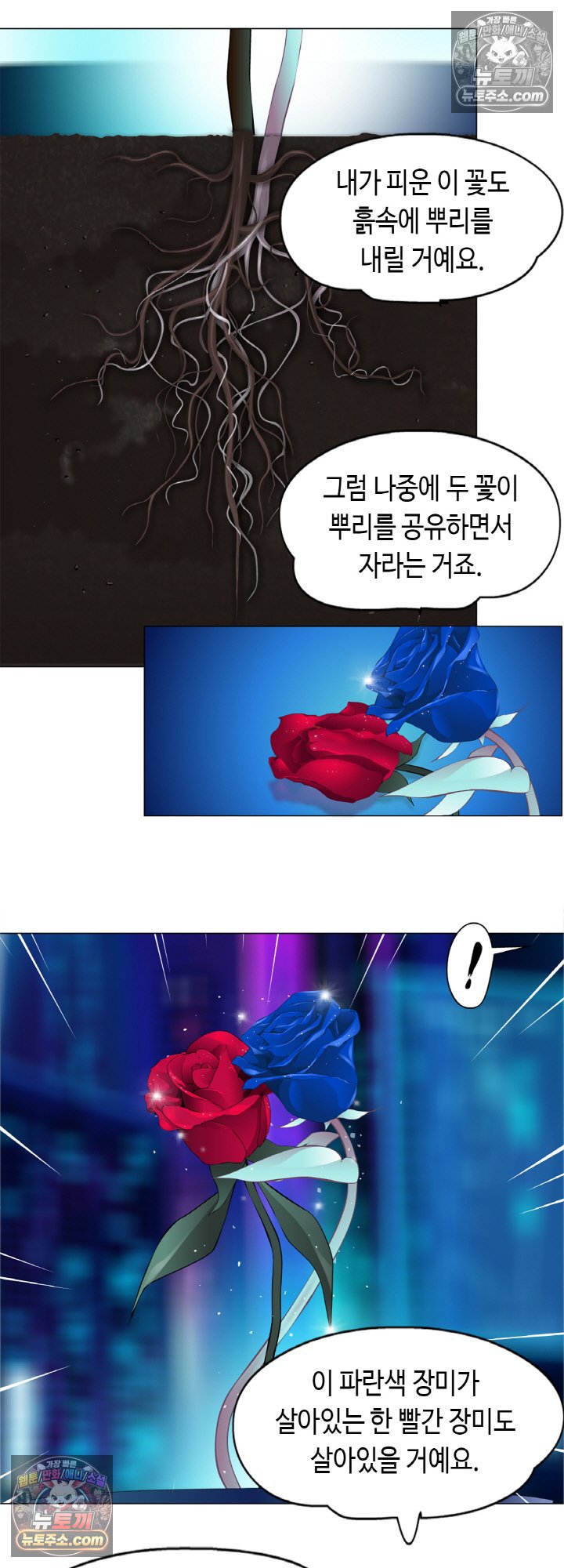 006.jpg