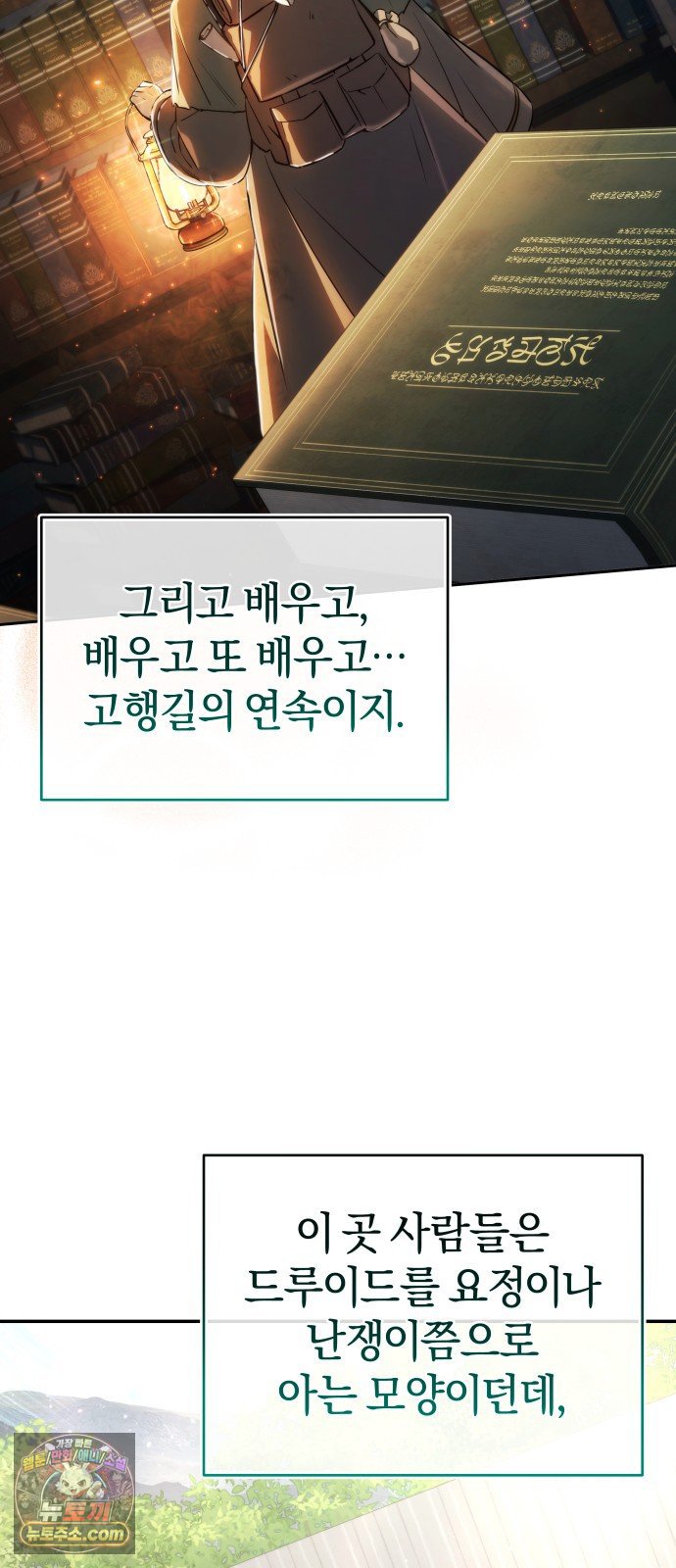 050.jpg