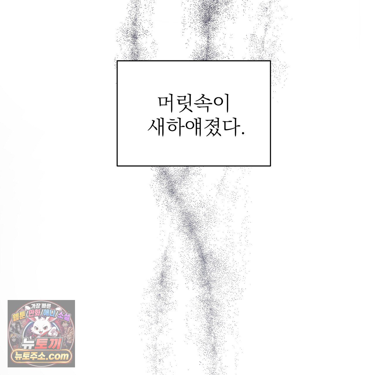155.jpg