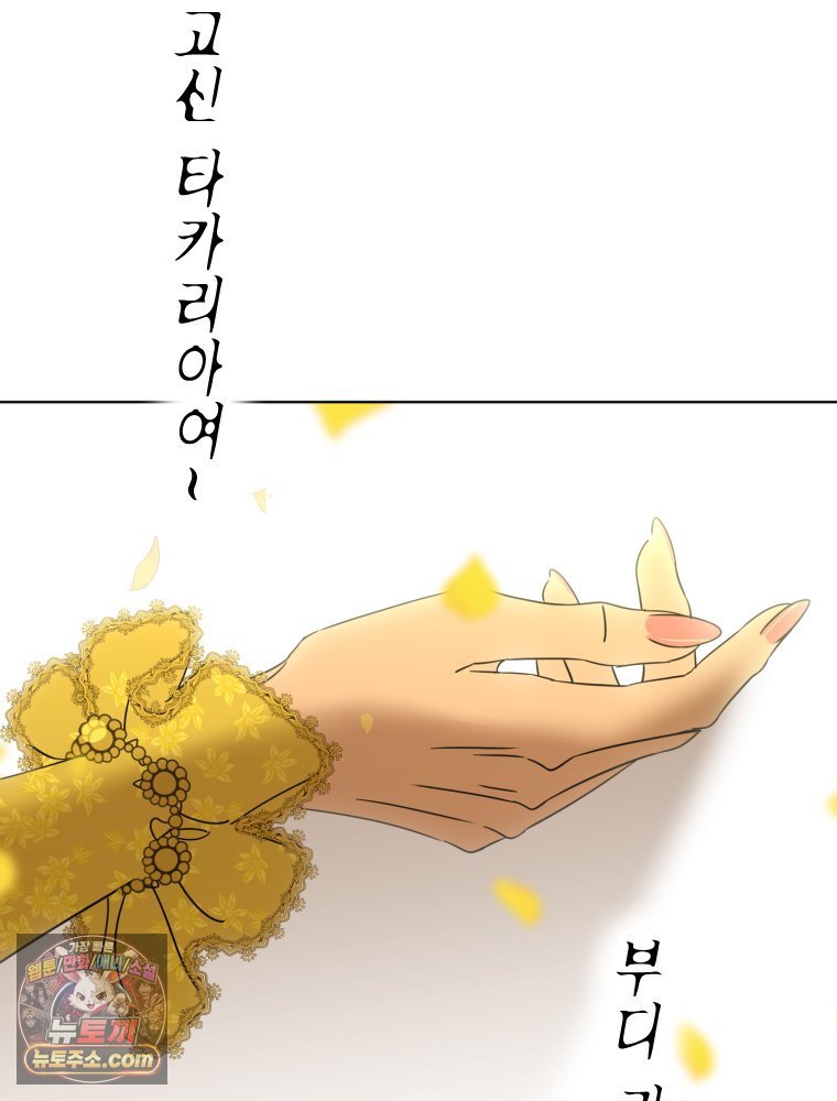 205.jpg