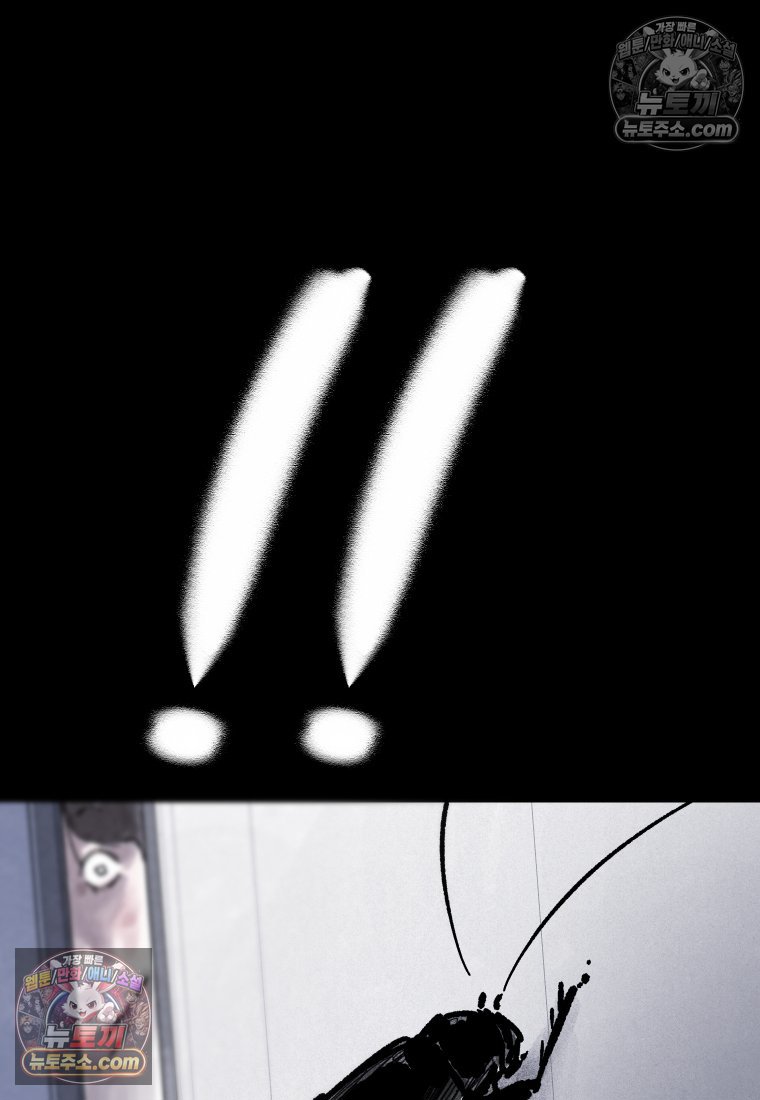 141.jpg