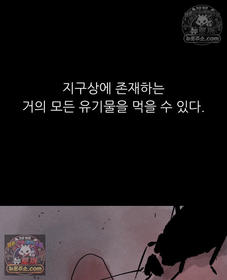194.jpg