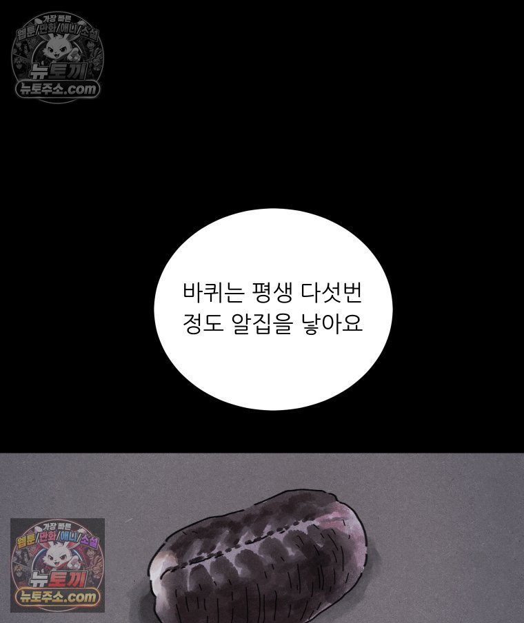 041.jpg