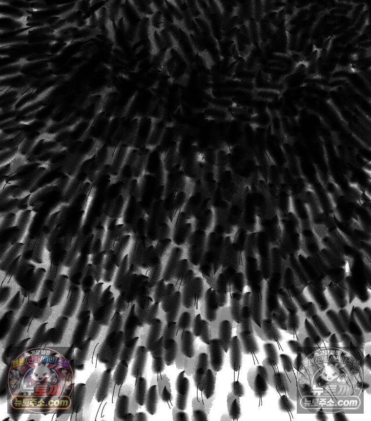 097.jpg