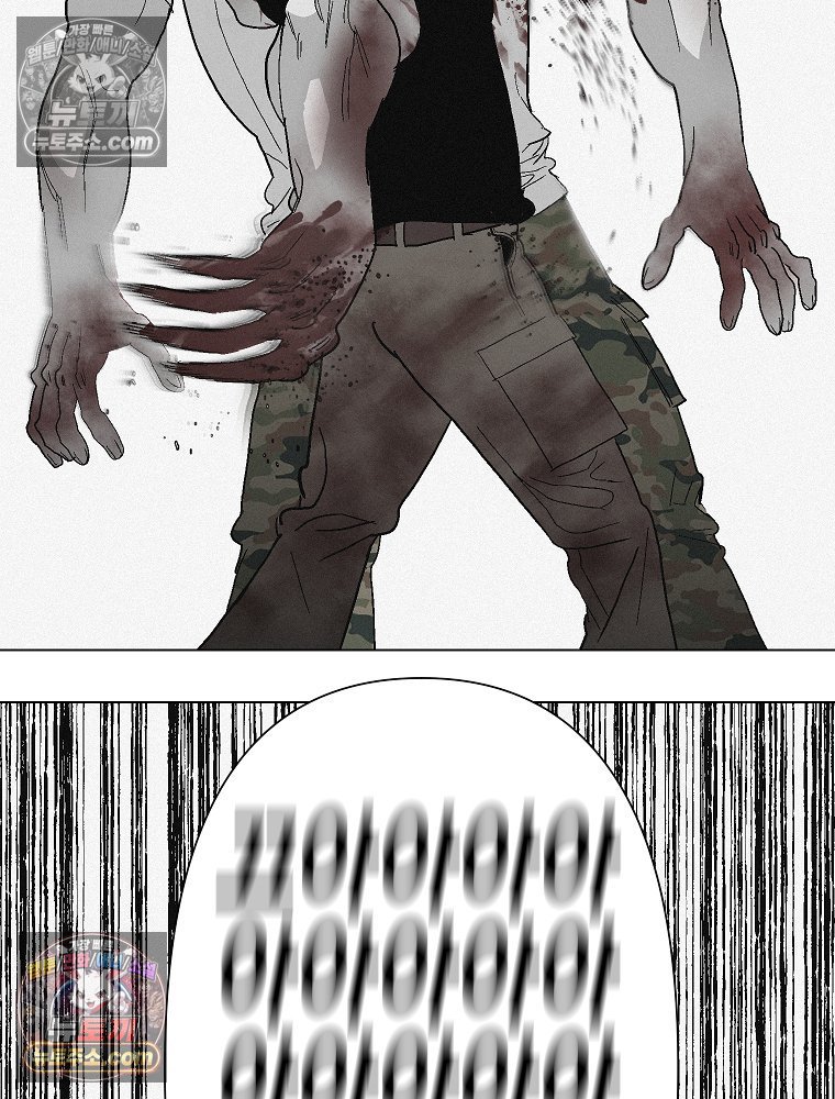 101.jpg